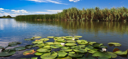 Monasteries and Danube Delta Itinerary