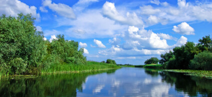 Danube Delta